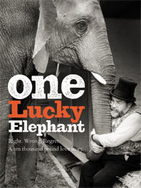 Image result for ONE LUCKY ELEPHANT